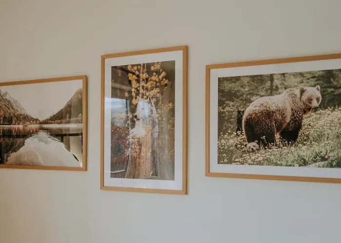 Widokowe Apartamento *