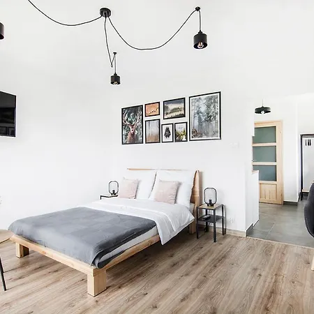 Apartament Widokowe *