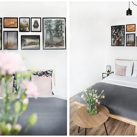 Widokowe Apartament Zakopane